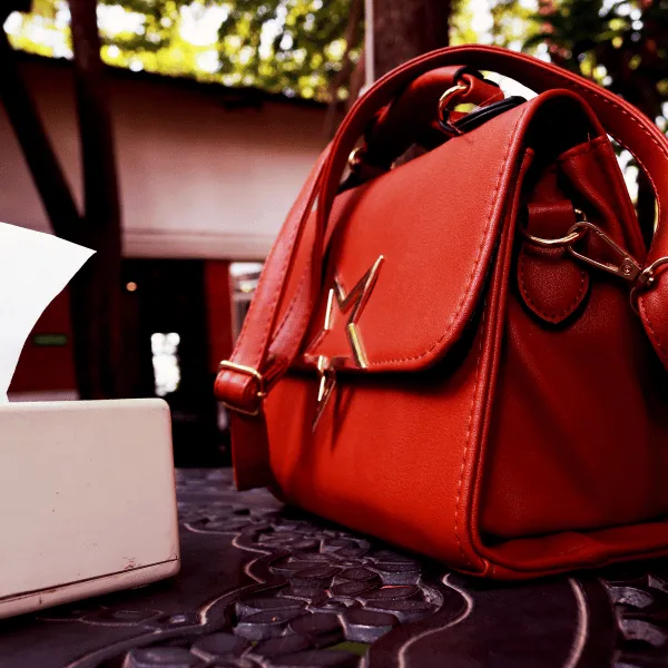Top 12 Affordable Branded Bags