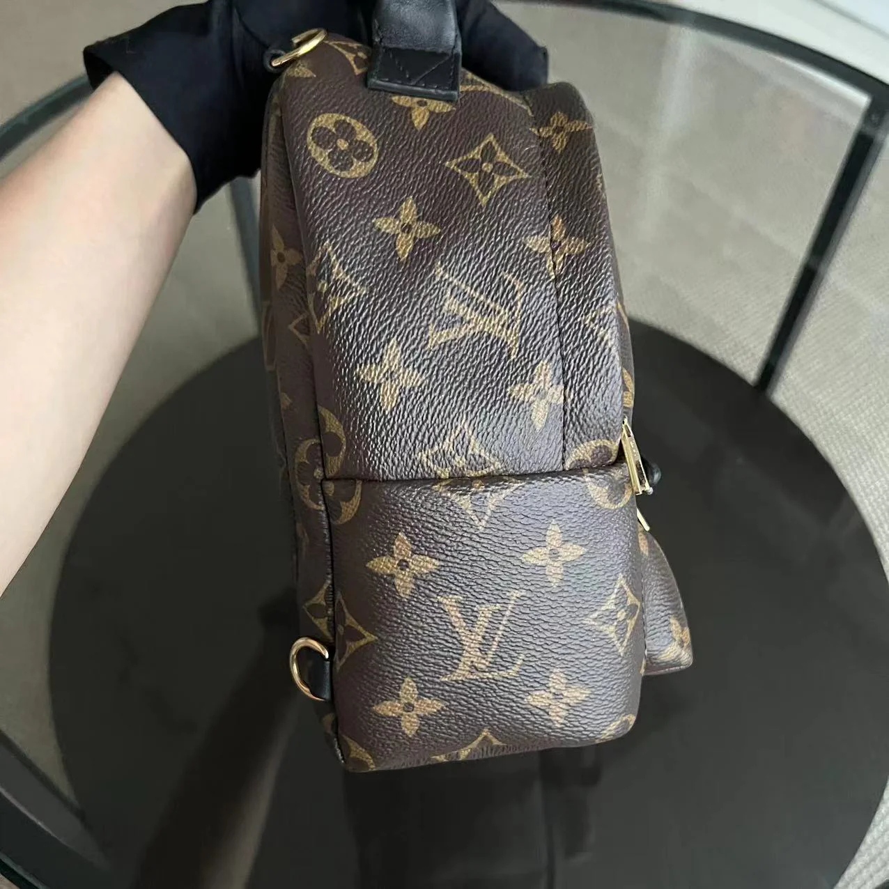Louis Vuitton Palm Spring Mini - Canvas Monogram Backpack