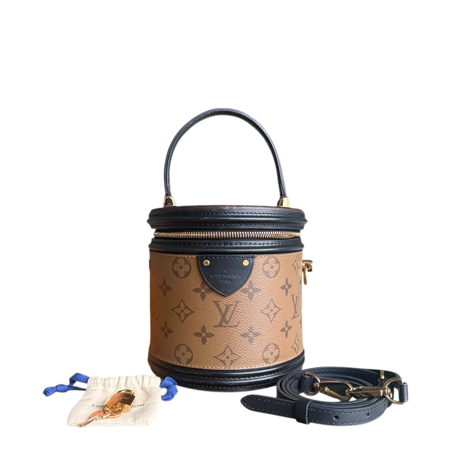 Louise Vuitton Cannes Monogram Reverse Handbag