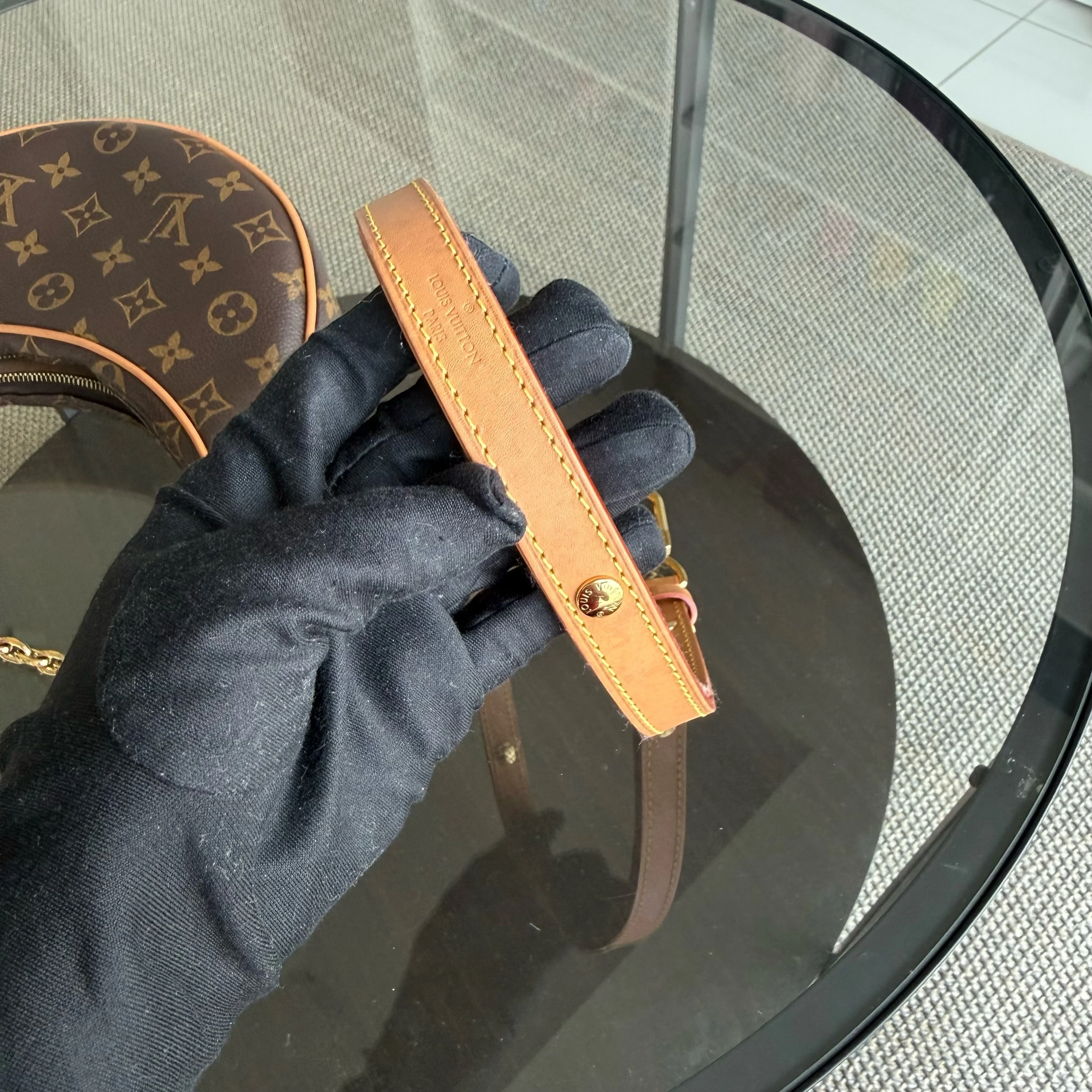 Louise Vuitton Loop Bag Monogram