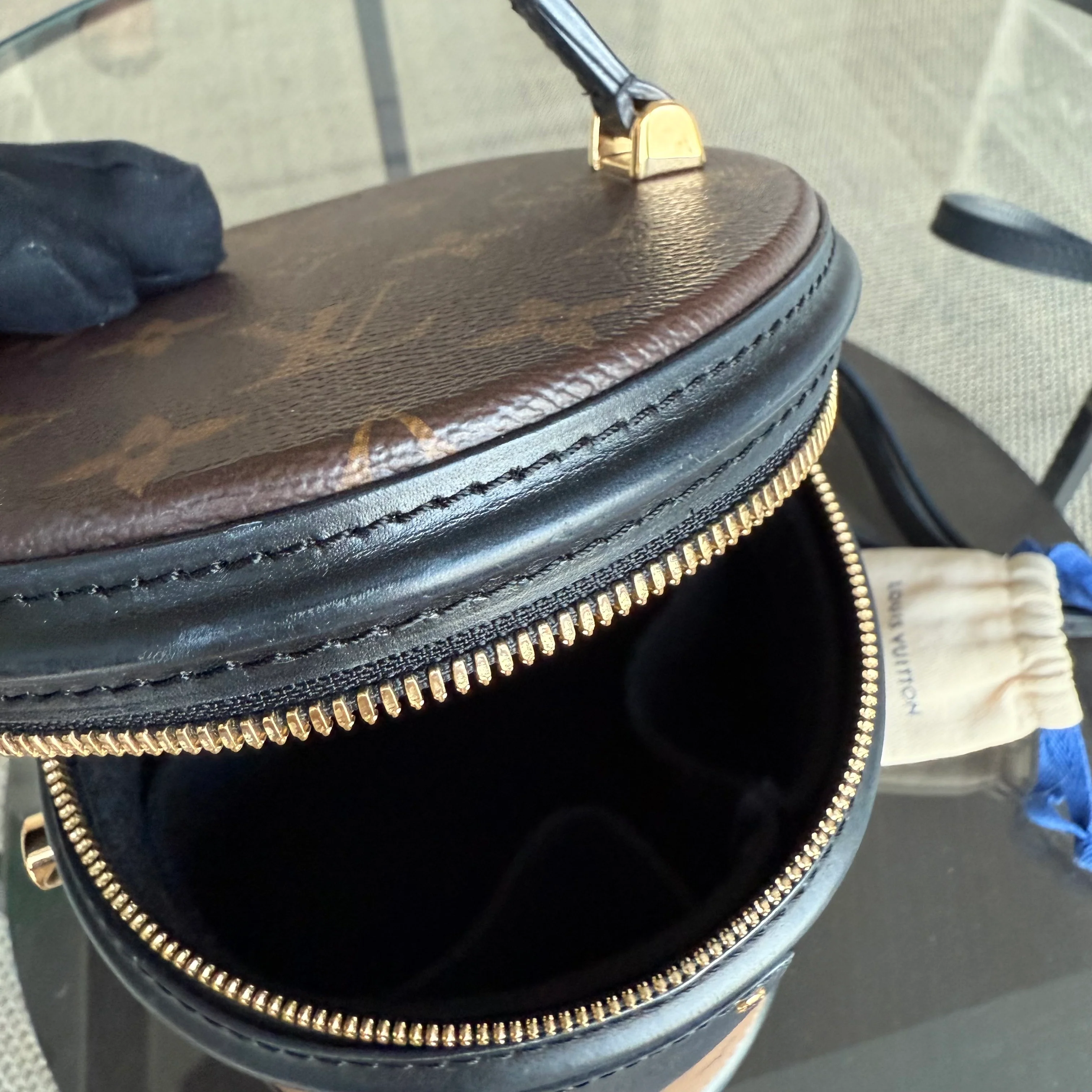 Louise Vuitton Cannes Monogram Reverse Handbag