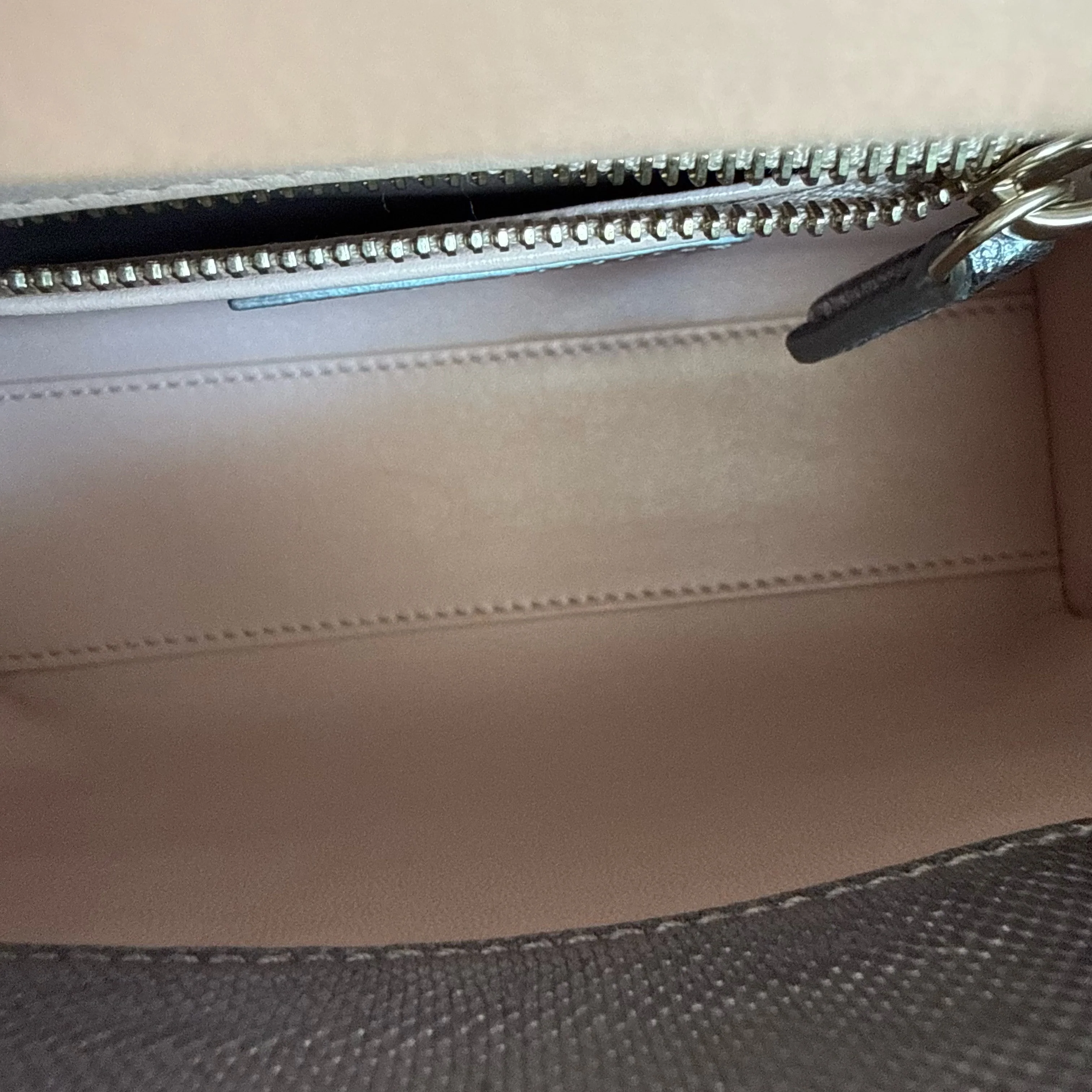 Dior Lady Mini - Exotic Lizard Two Tone Gold Hardware