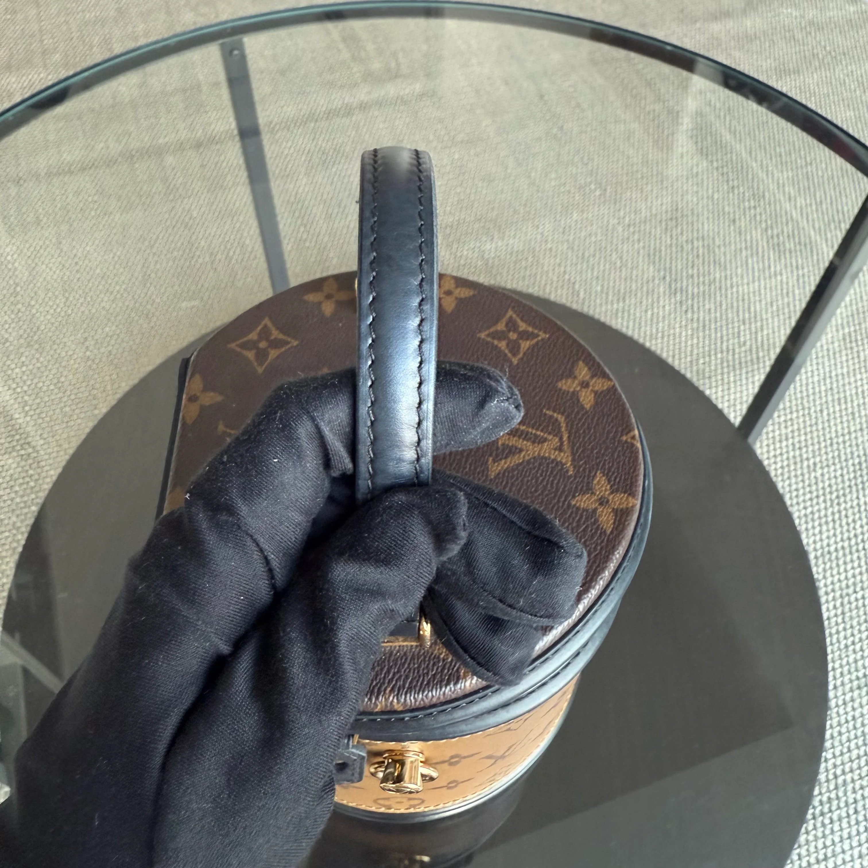 Louise Vuitton Cannes Monogram Reverse Handbag