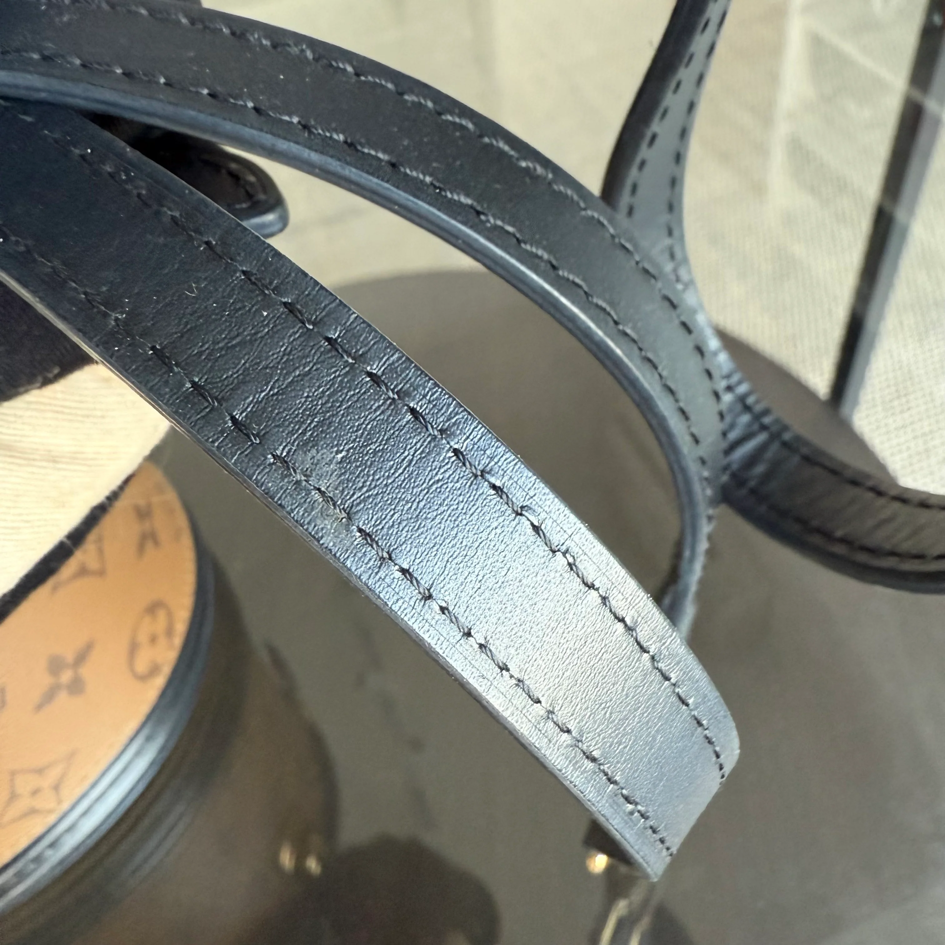 Louise Vuitton Cannes Monogram Reverse Handbag