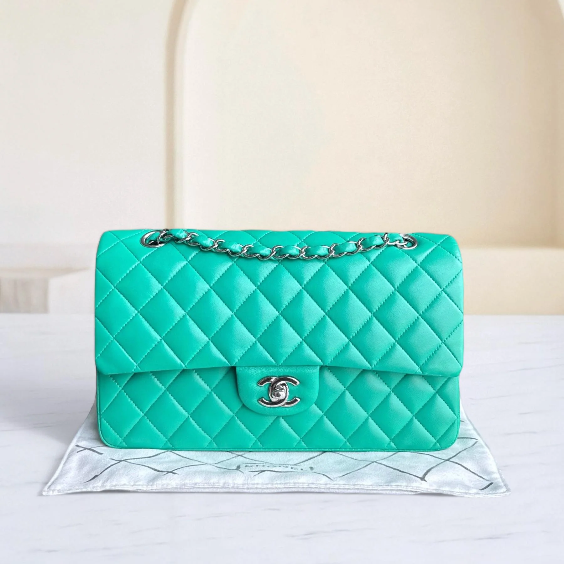 Chanel Classic Flap Medium - 25CM Quilted Lambskin Light Green Silver Hardware Series 16