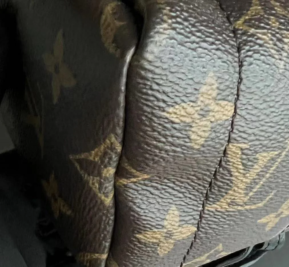 Louis Vuitton Palm Spring Mini - Canvas Monogram Backpack