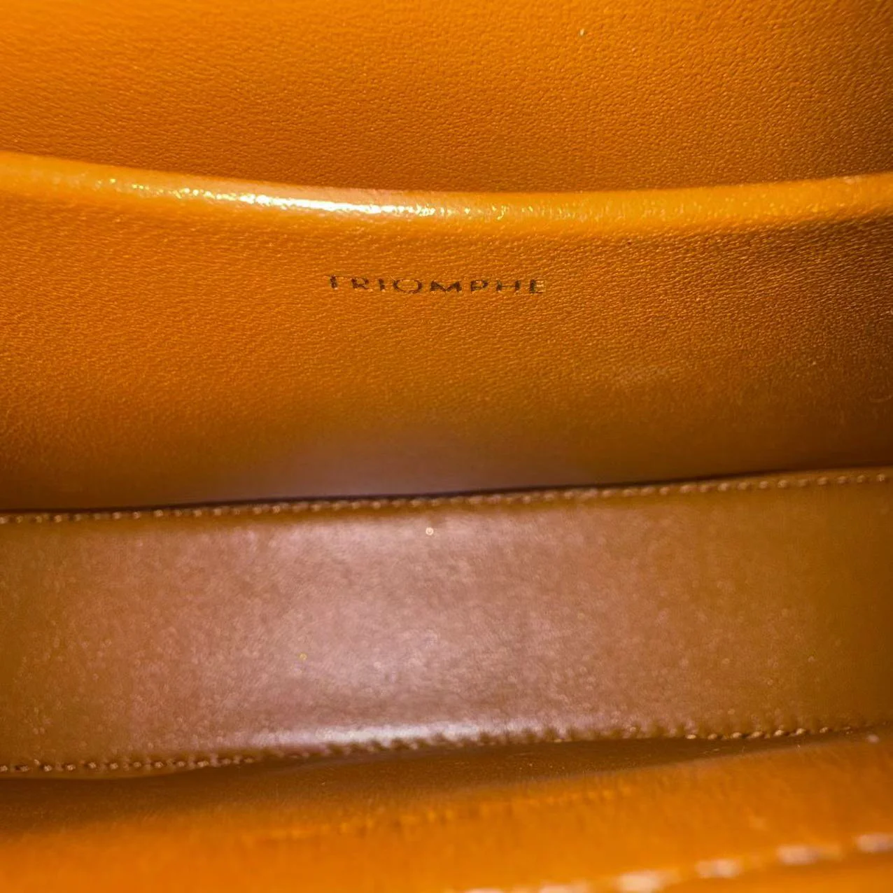 Celine Triomphe Canvas Claude Shoulder Bag