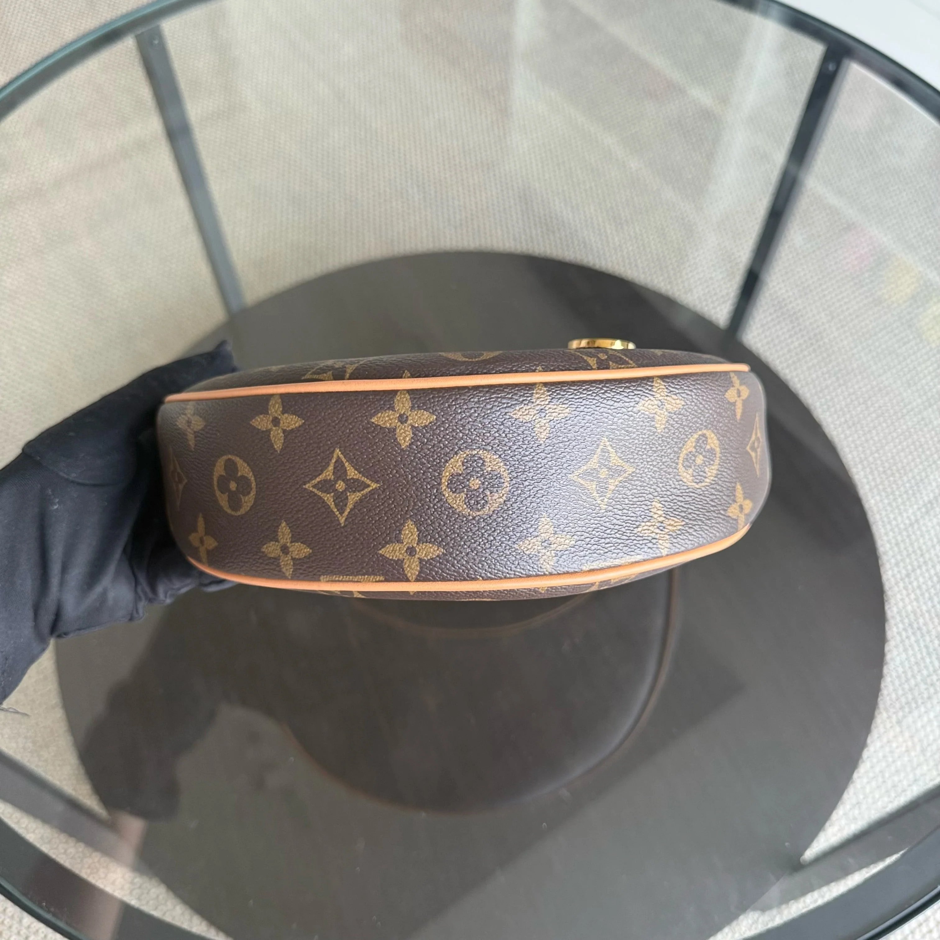 Louise Vuitton Loop Bag Monogram