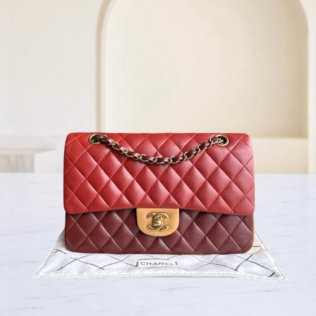 Chanel Classic Flap Medium - 25CM Quilted Lambskin Tri-Colo Gold Hardware Series 18
