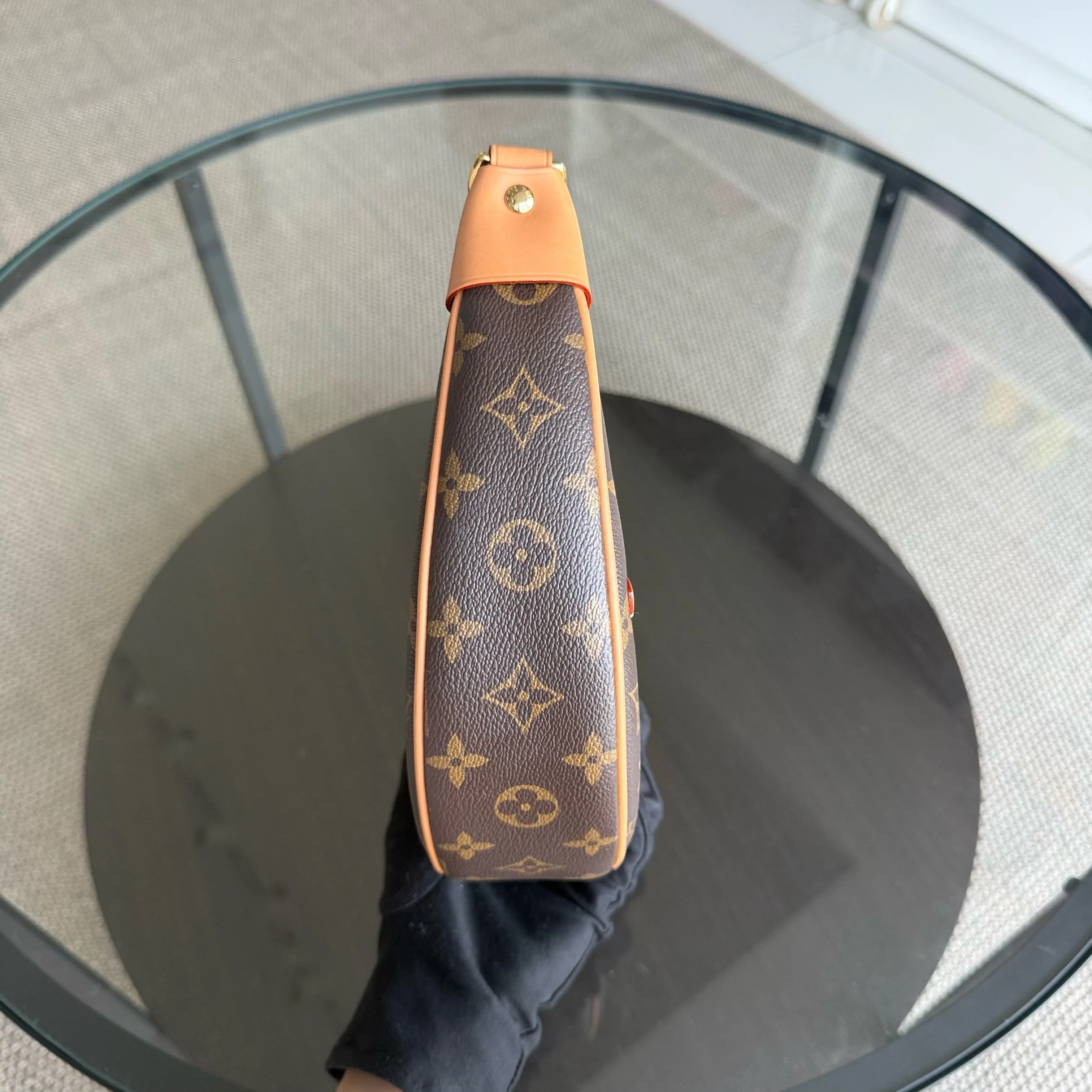 Louise Vuitton Loop Bag Monogram