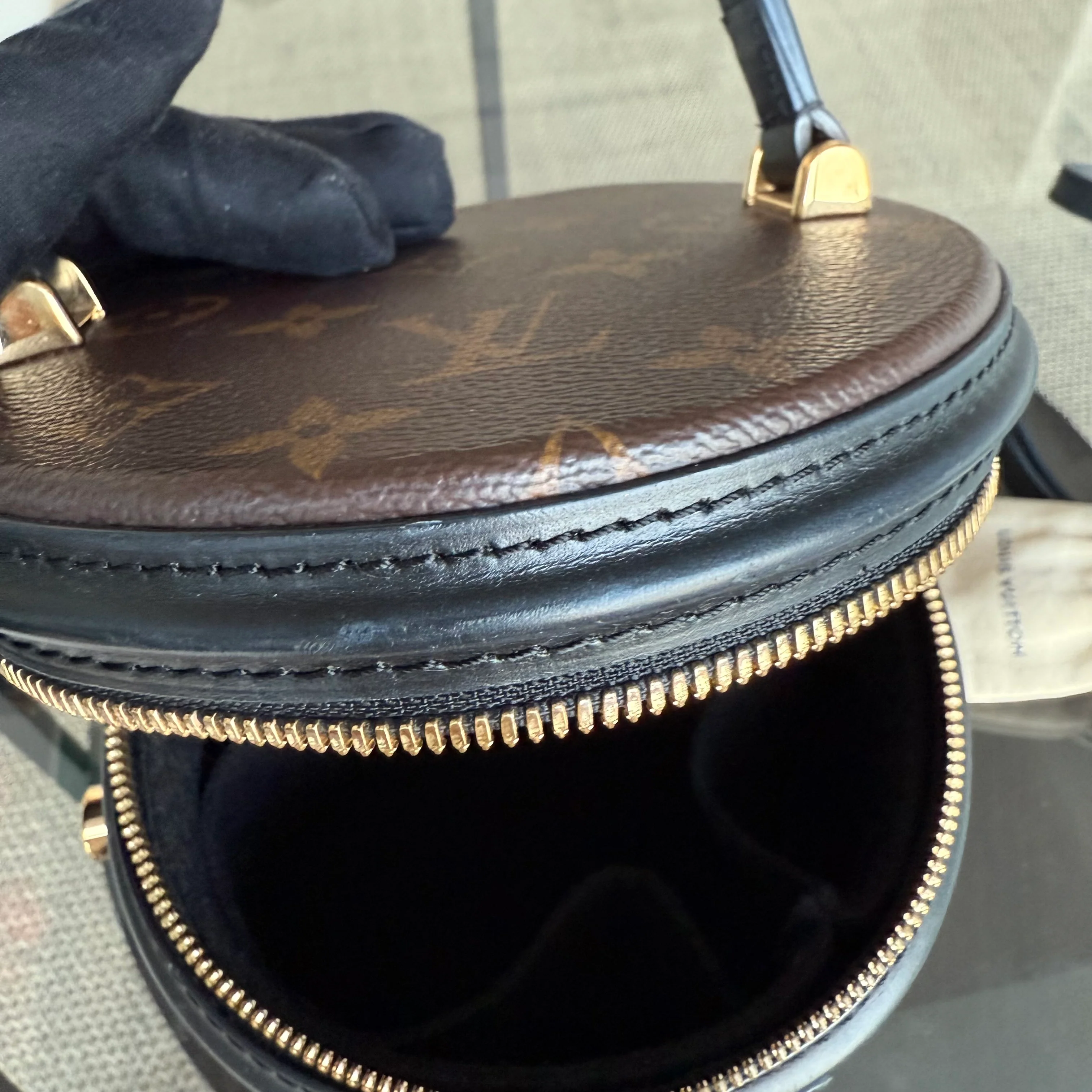Louise Vuitton Cannes Monogram Reverse Handbag