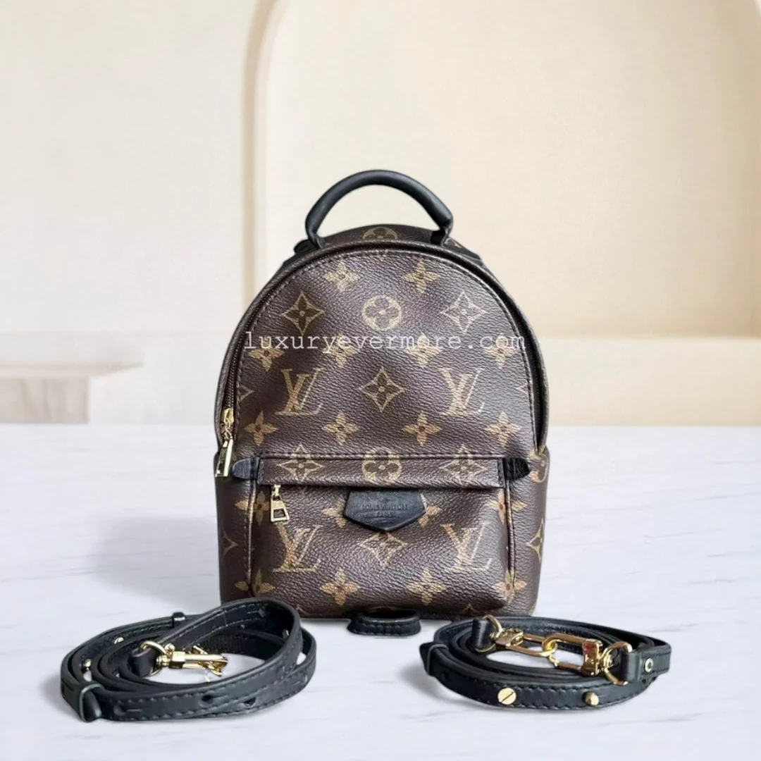 Louis Vuitton Palm Spring Mini - Canvas Monogram Backpack