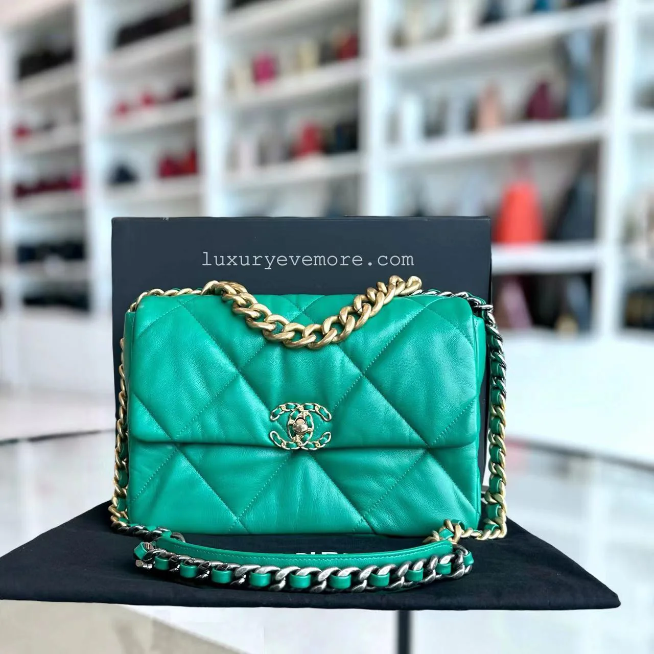 Chanel C19 Medium 19 Bag Quilted Goatskin Green Two-Tone Hardware Series 30 - Best Luxury Designers