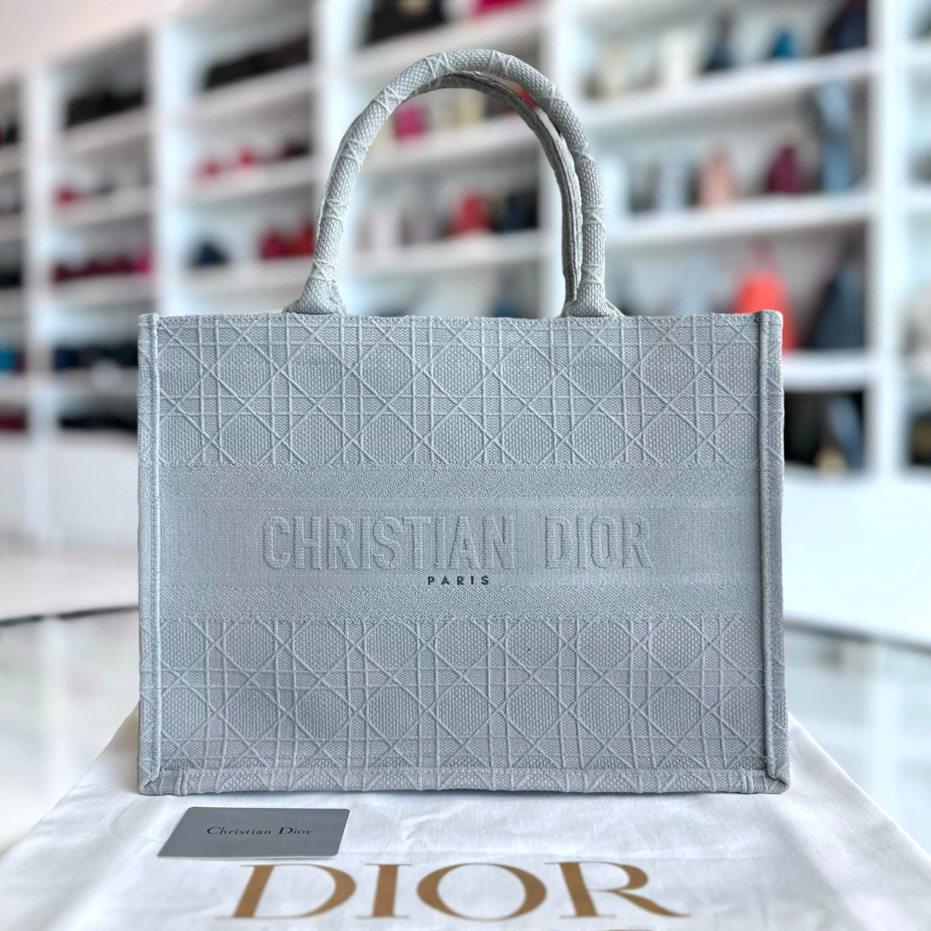 Dior Book Tote Medium Cannage Embroidery Canvas Gray Bag - Best Luxury Designers