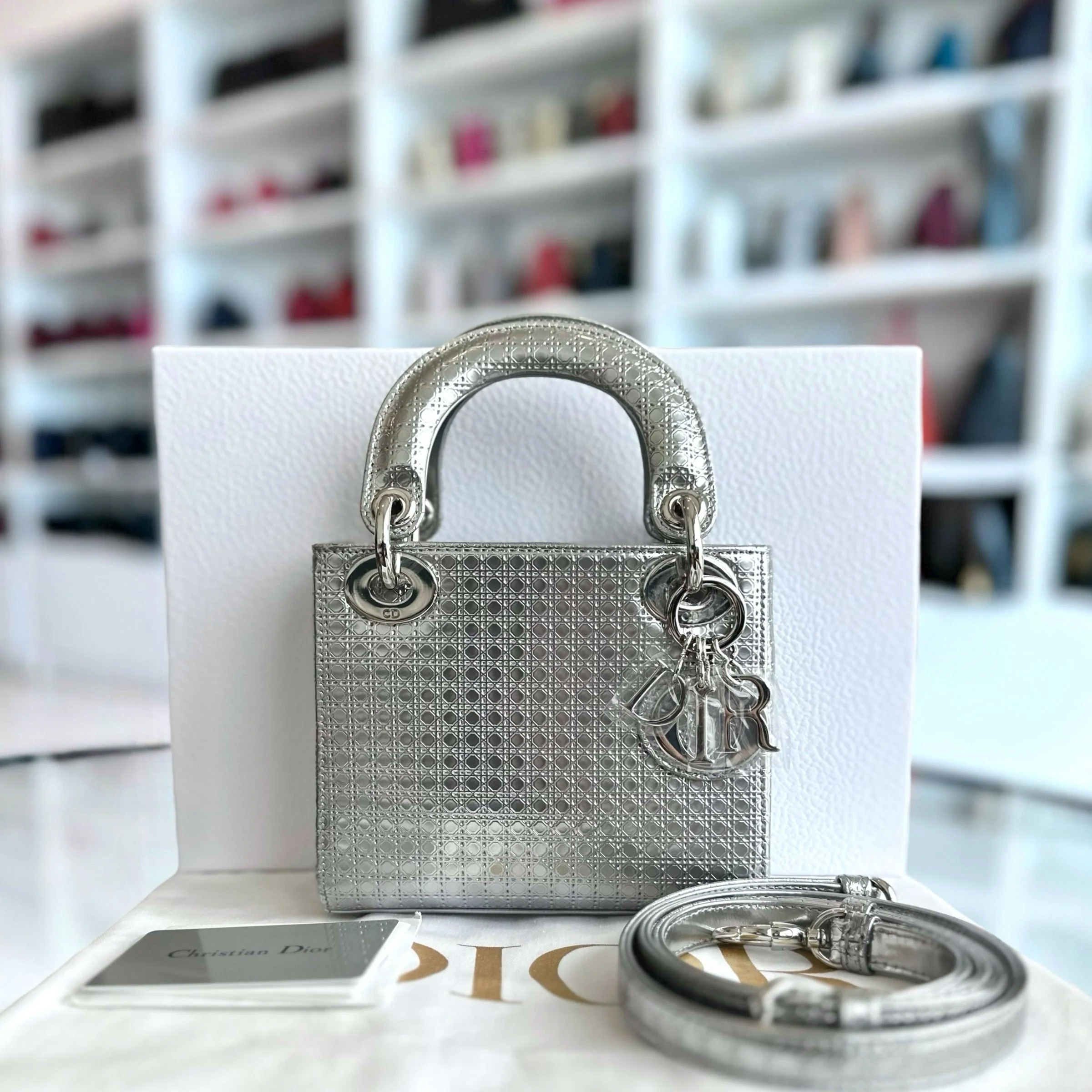 Dior Lady Mini Micro-Cannage Silver Limited Edition SHW - Best Luxury Designers